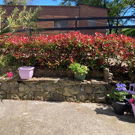 Fitzgerald'S Farmhouse Accommodation V94 Yy47 Abbeyfeale Exterior photo